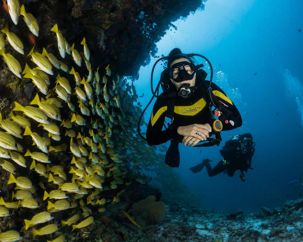 Plongeur sous-marin avec un banc de poisson à l'île de la Réunion