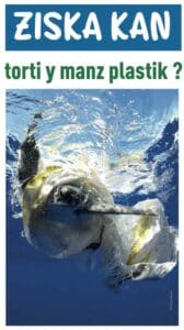 exposition à Kélonia sur les tortues marines et les dangers liés au plastique